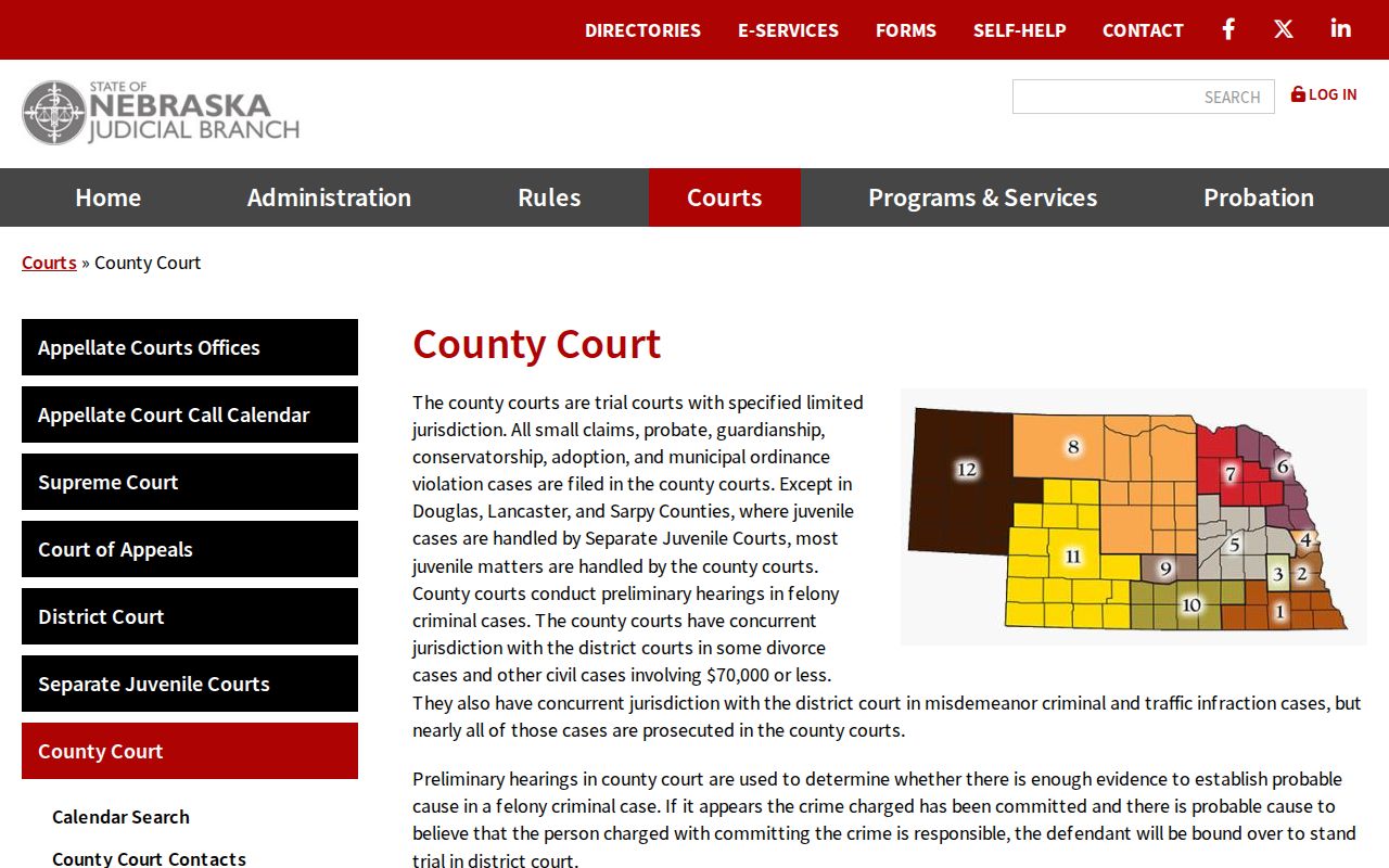 Johnson court records and Nebraska County Court jurisdiction overview